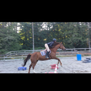 Meet your Posher, Marena